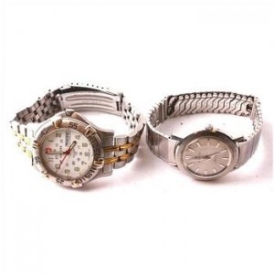 Hamilton And Wenger Watches, 2 Watches