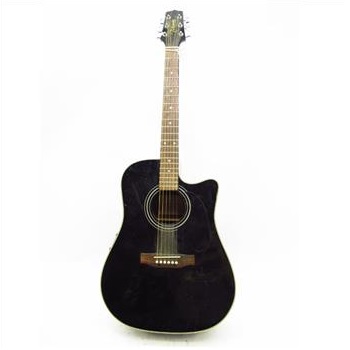 Takamine G Series Electric Acoustic Guitar