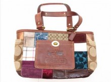 Coach Handbag -1