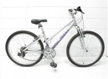 Giant Boulder Mountain Bike