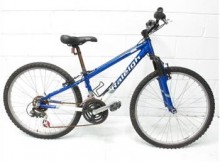 Raleigh M20 Mountain Bike