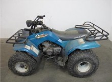 Suzuki Quad Runner ATV