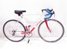 Trek USA Aluminum Men's Road Bike