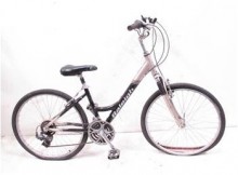 Raleigh Women's Hybrid Cruiser Bike