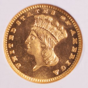 spotlight coin