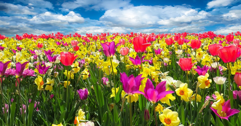 first day of spring